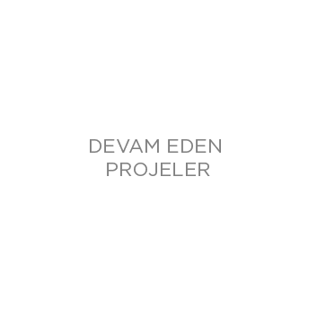 Devam Eden Projeler